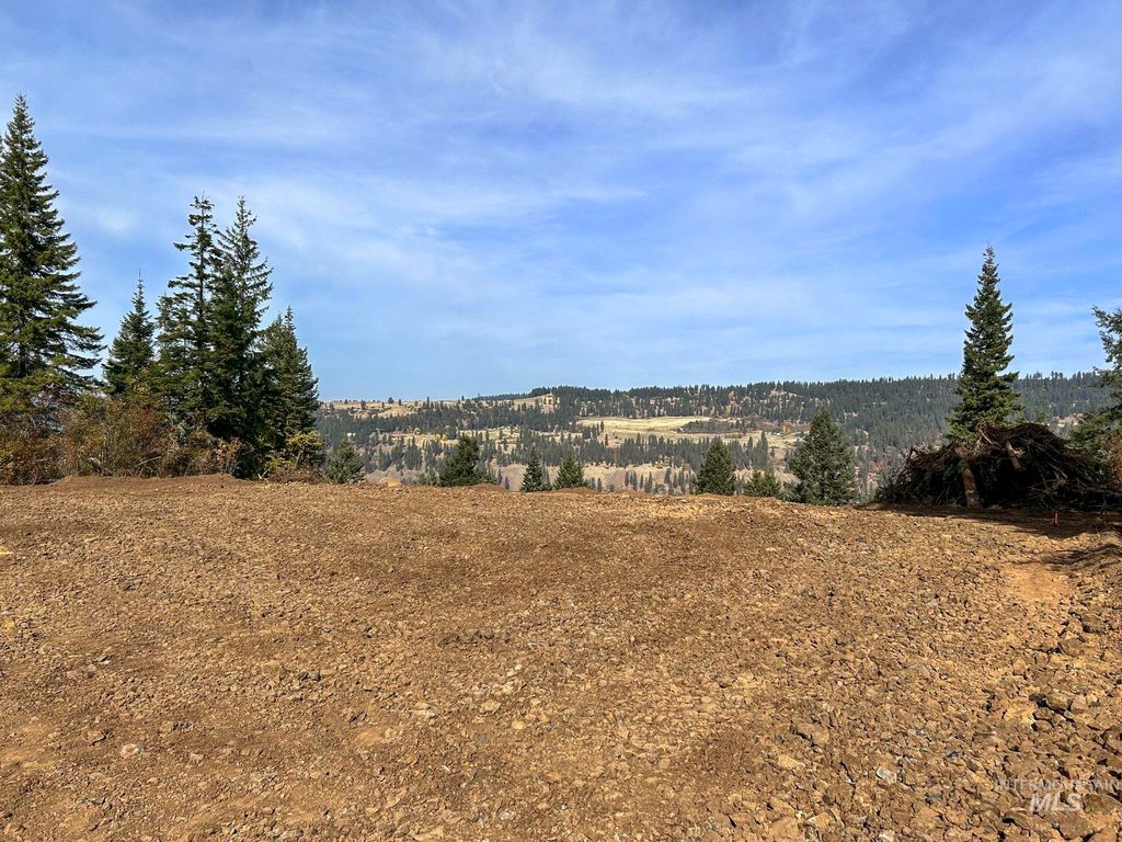 Photo of 472 Mountain Top Drive, Orofino, ID 83544 (MLS # 98939389)