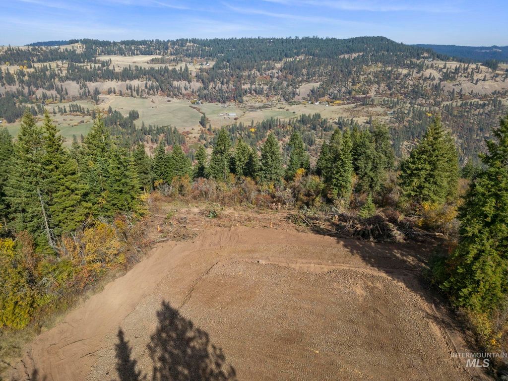 Photo of 472 Mountain Top Drive, Orofino, ID 83544 (MLS # 98939389)