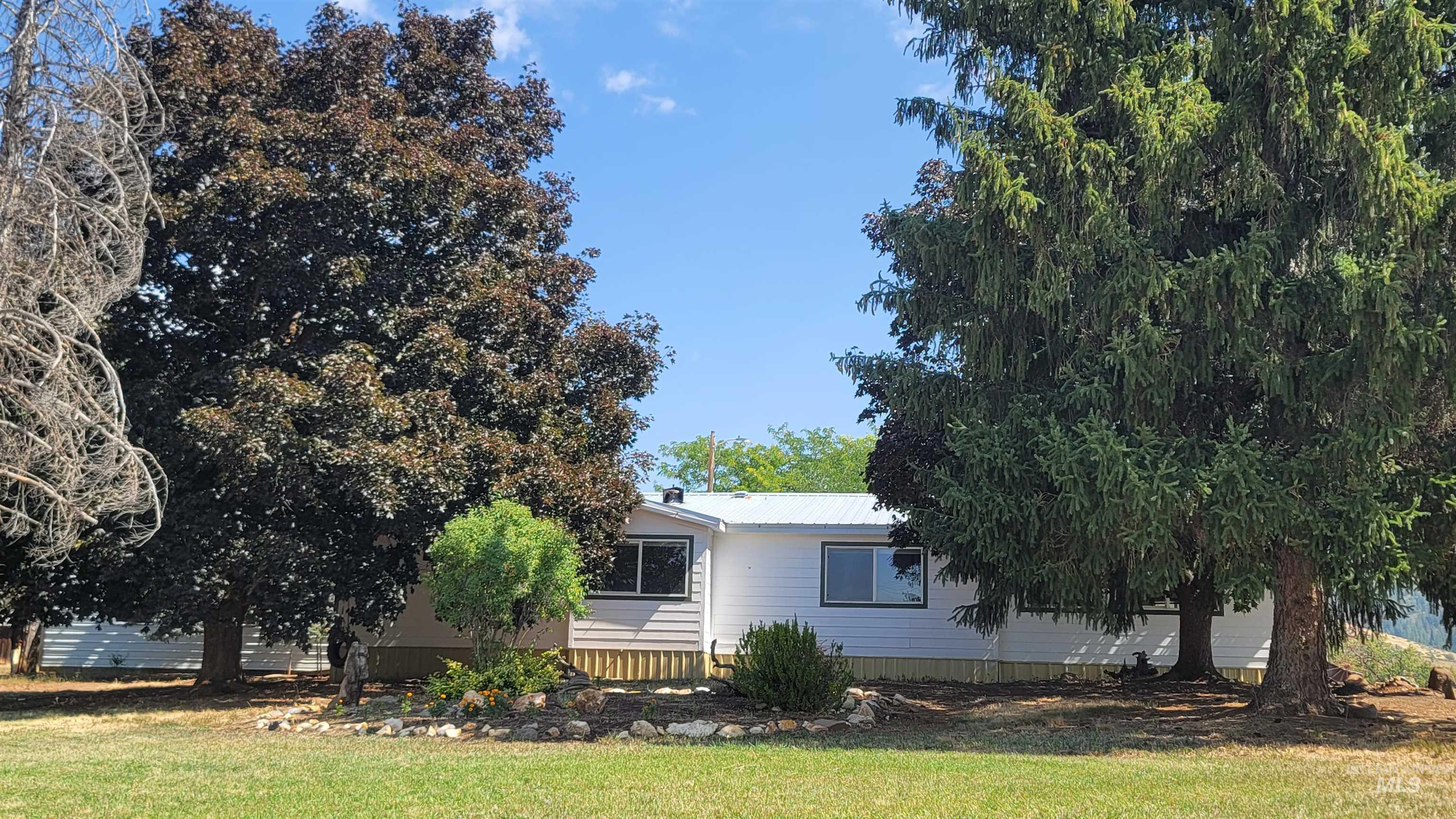 View of front facade with a front yard and a metal roof