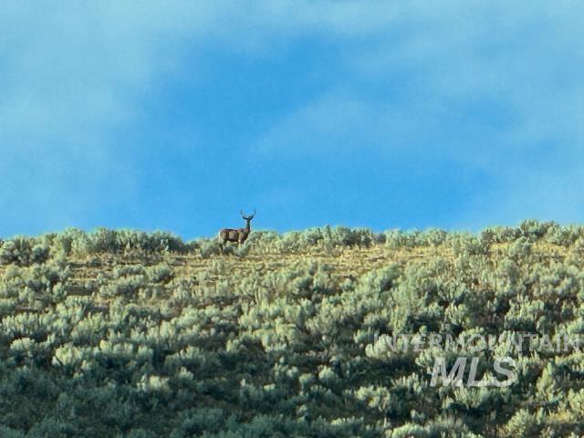 View of undeveloped land with rural landscape
