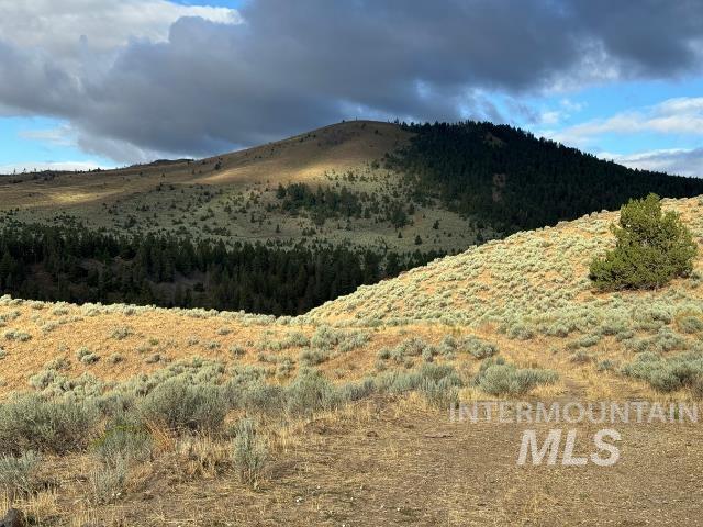 View of mountain background
