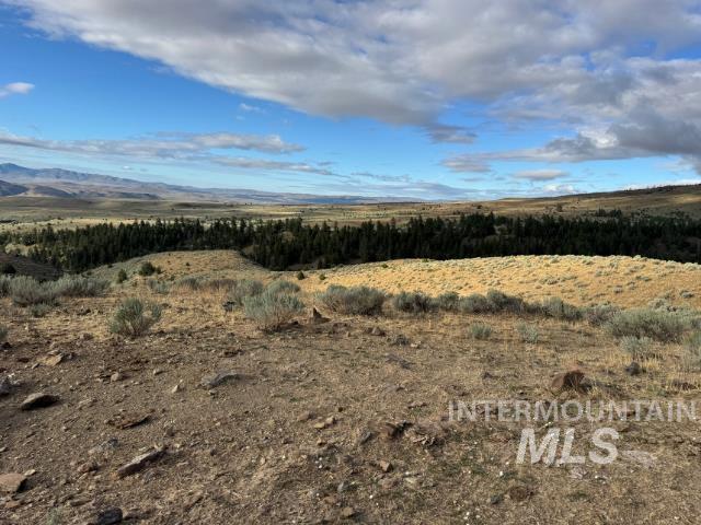 View of local wilderness featuring rural landscape