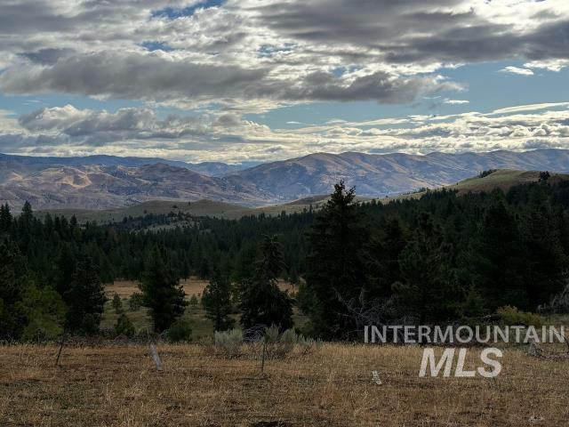 View of mountain backdrop with a heavily wooded area