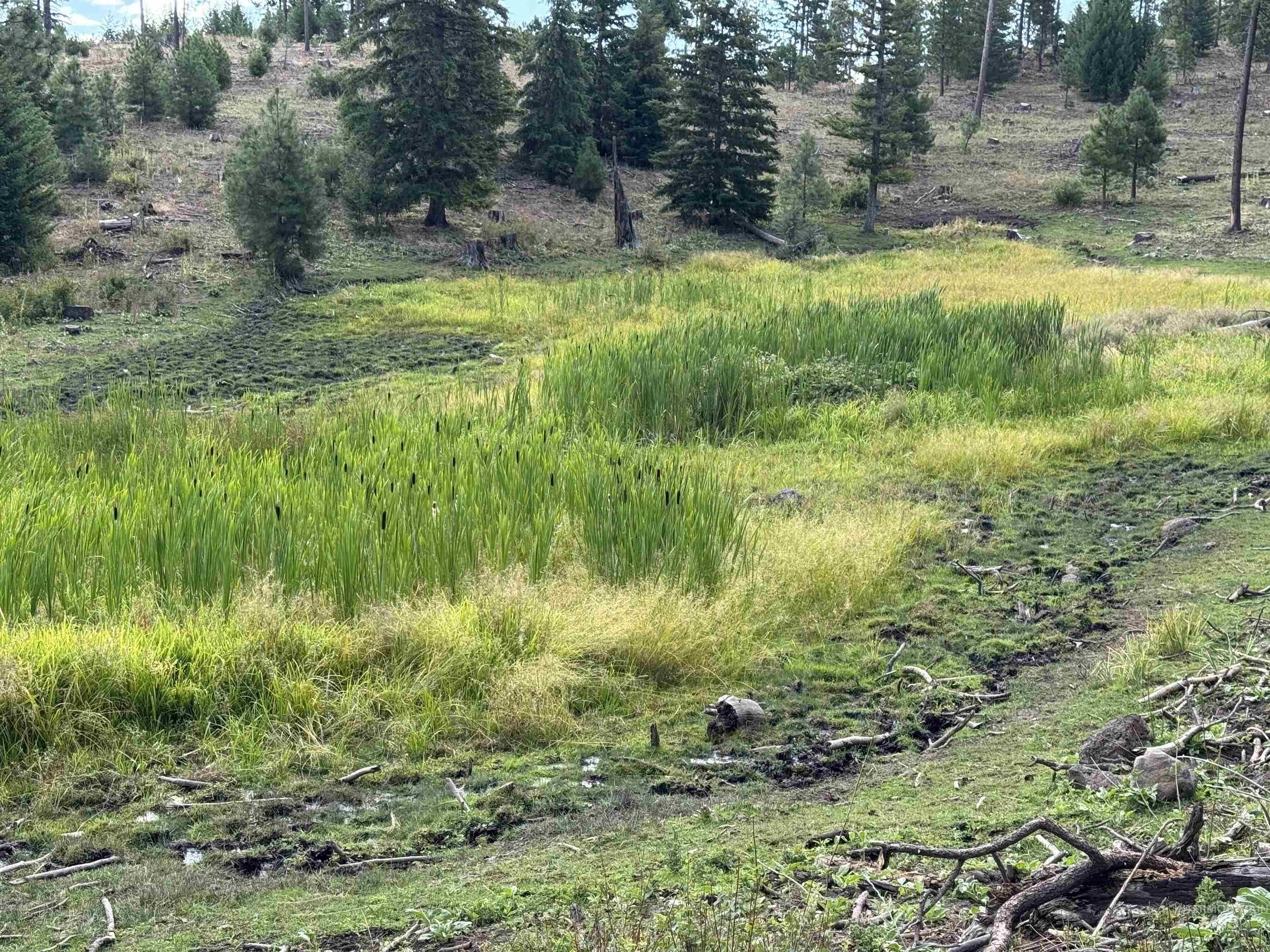 View of nature featuring rural landscape