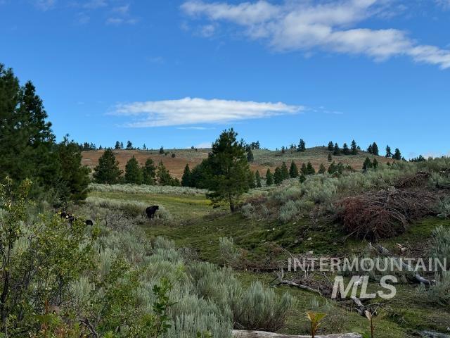 View of nature featuring rural landscape