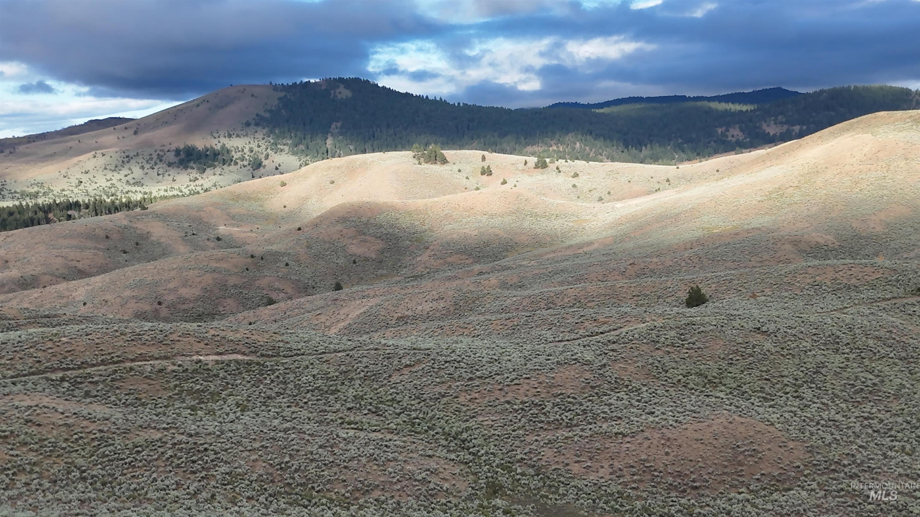 View of mountain background