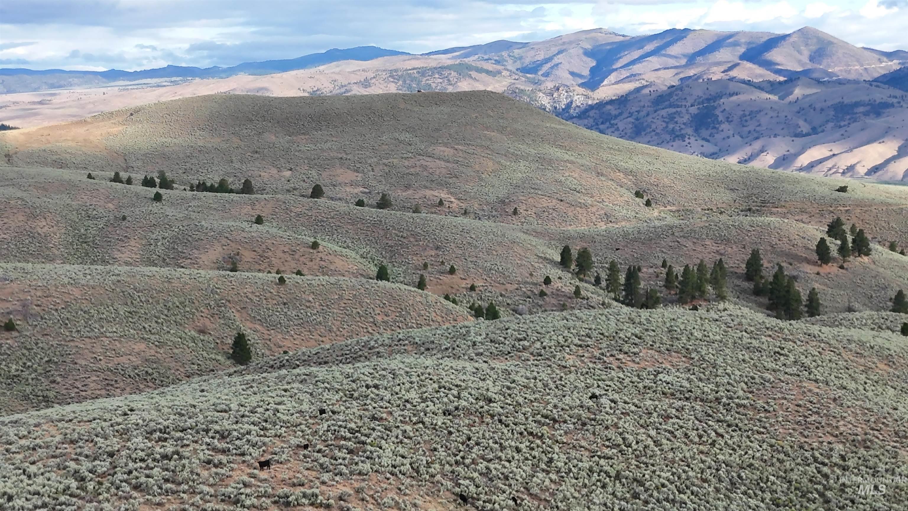 View of mountain backdrop