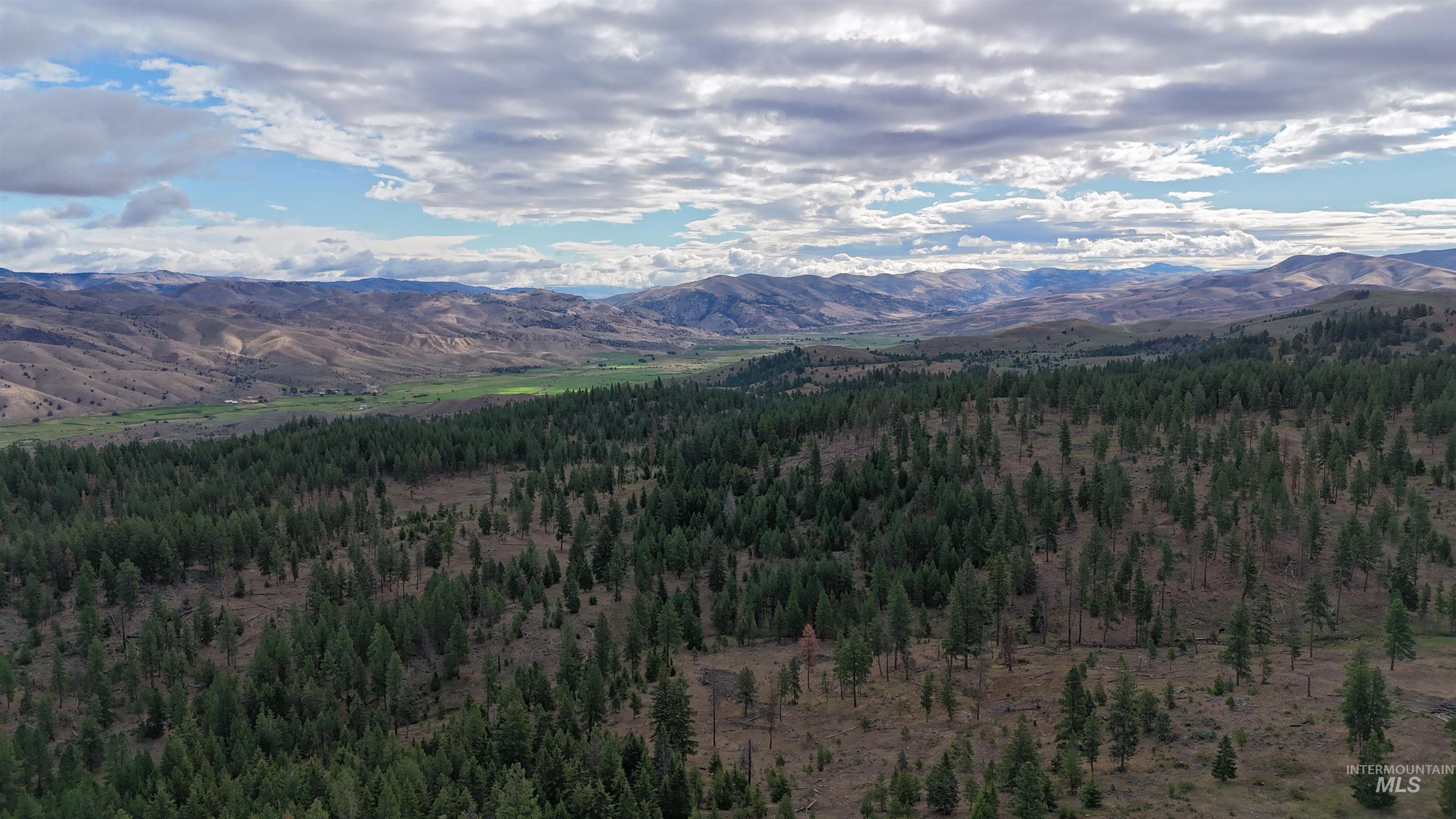 View of mountain background featuring a heavily wooded area
