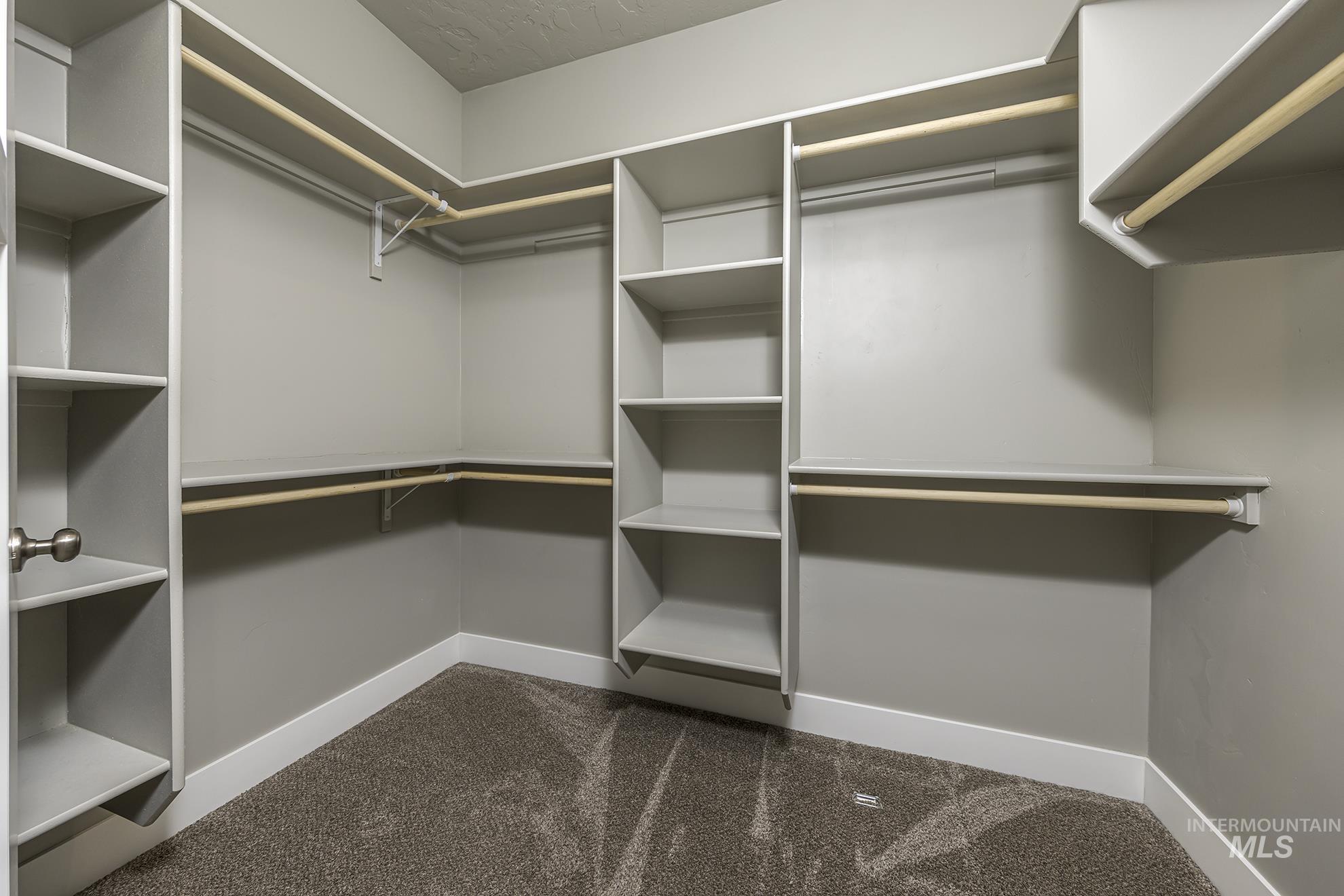 Walk in closet featuring dark colored carpet