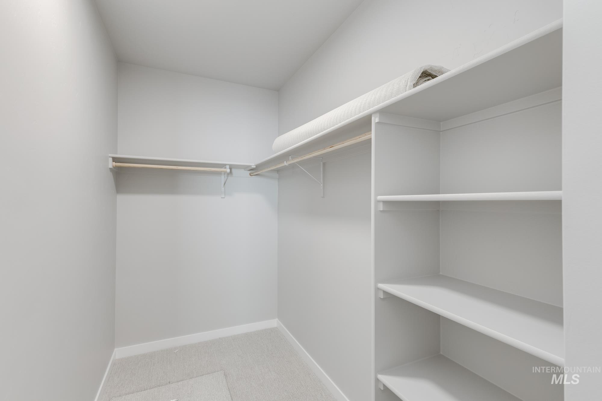 Spacious closet featuring light colored carpet