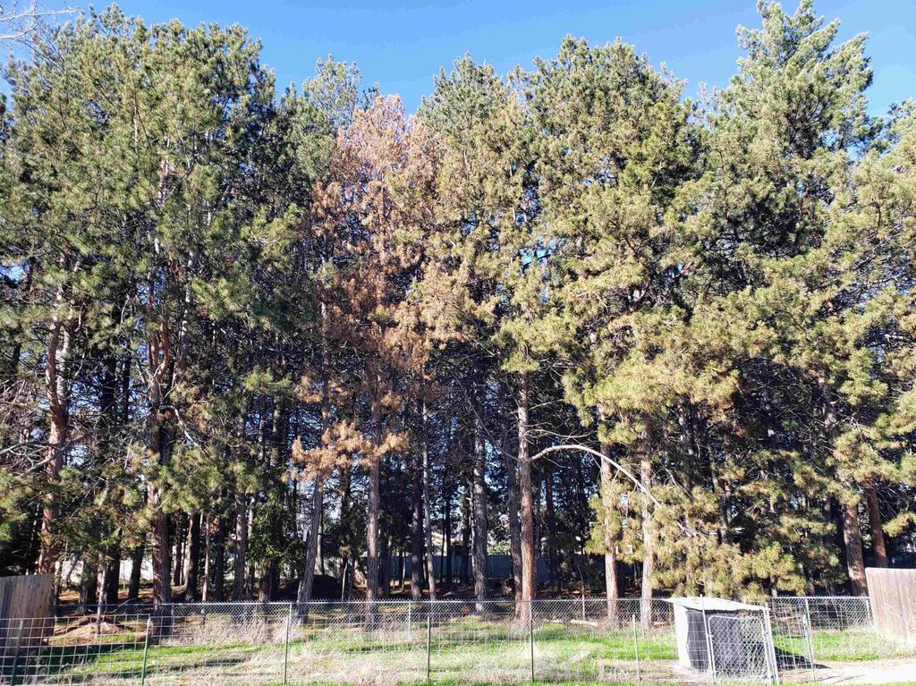 Photo of 4633 N Jennifer St, Boise, ID 83704 (MLS # 98976344)