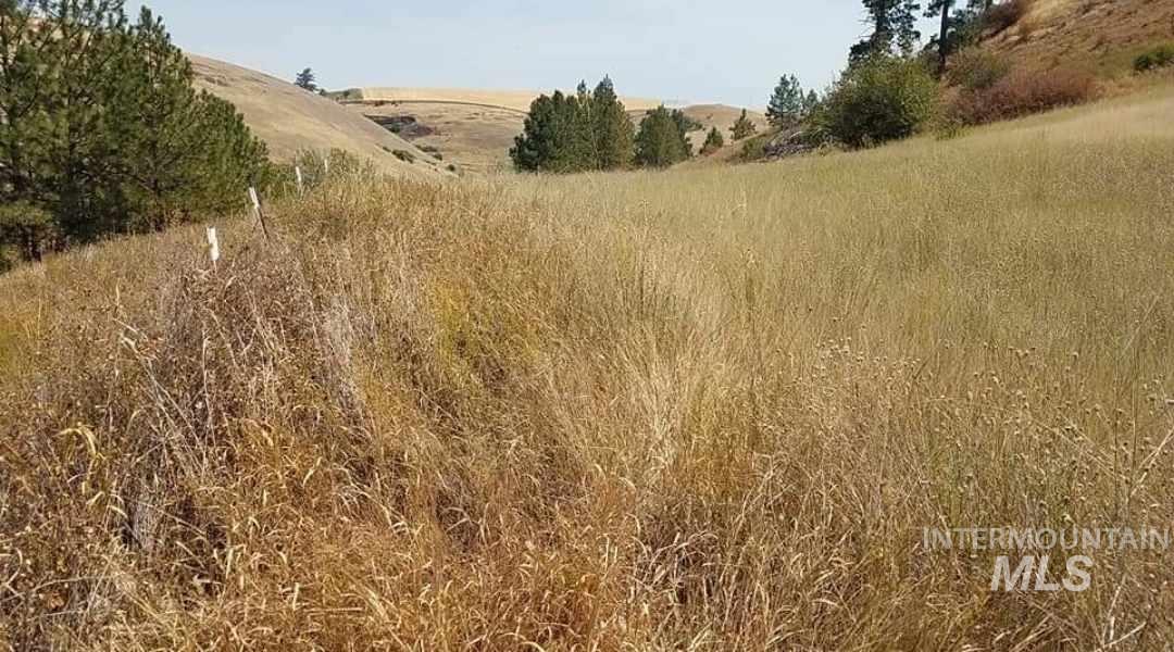 30606 Kettenbach Grade #LENORE, Culdesac, Idaho image 30