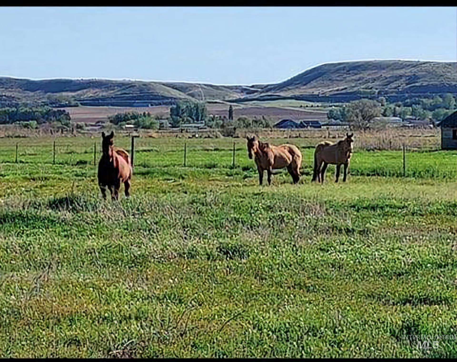 9221 Brill Road, Emmett, Idaho image 45