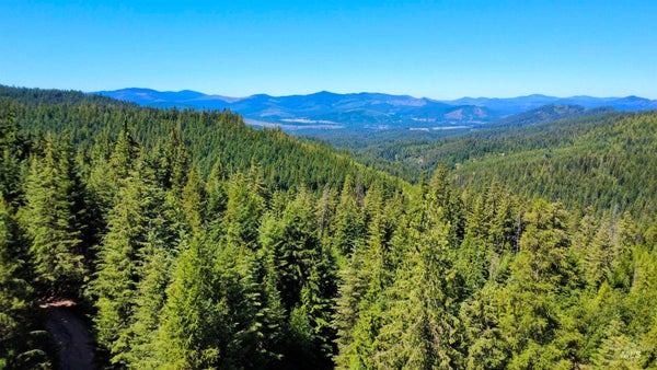 ADDRESS PRIVATE, FERNWOOD, ID 83830 - Image 853efa3de3966fac27ff9df385c6d60b/1880382749