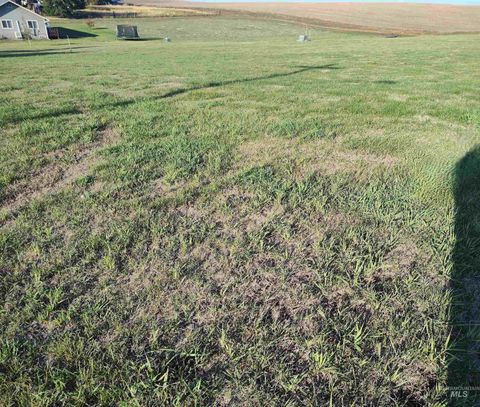 Lot 3 & 4 Beech Street Nezperce ID 83543