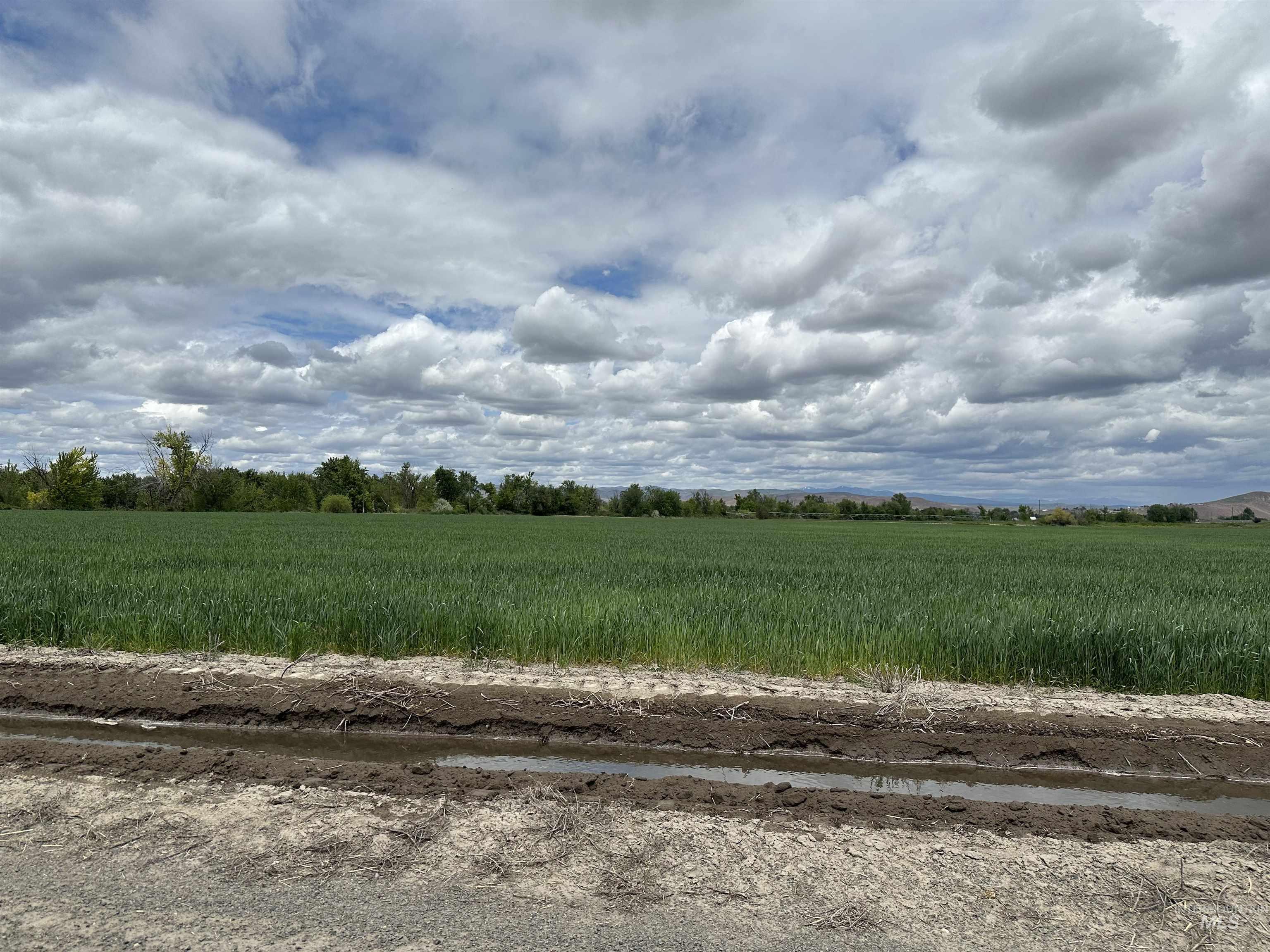 View of undeveloped land featuring rural landscape