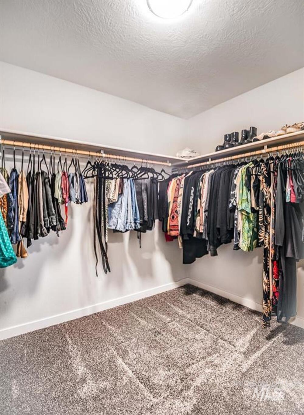 Walk in closet with carpet flooring