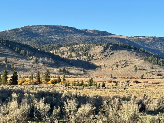 3600-3610 RED ROCK RD, ISLAND PARK, ID 83429 - Image 870e6bbcb0301c3beb0e52c3b2d8caf9/1665698329