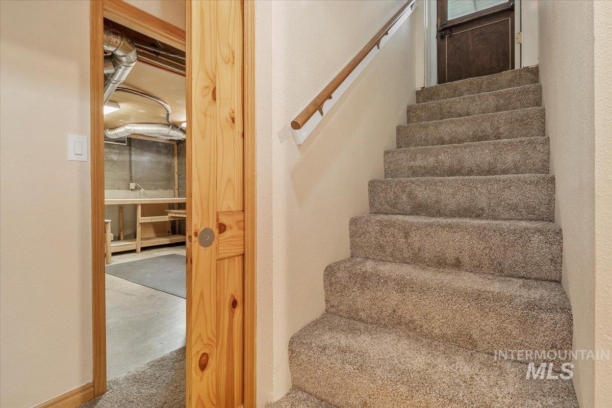 Stairs featuring carpet