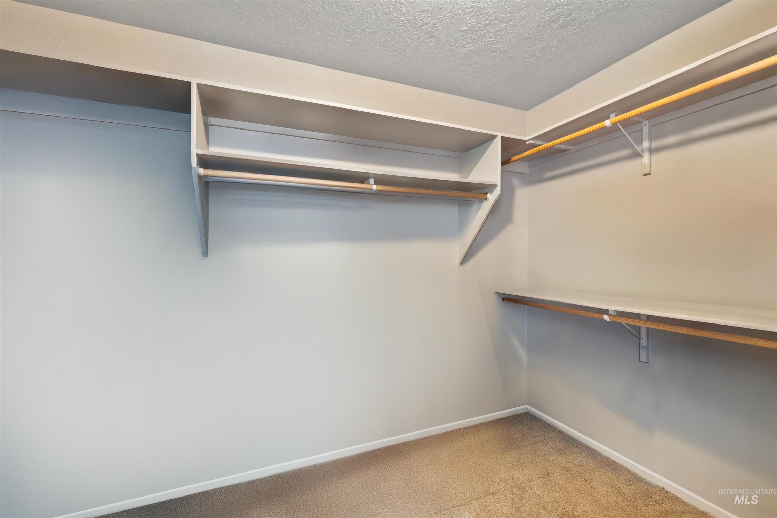 Walk in closet featuring carpet