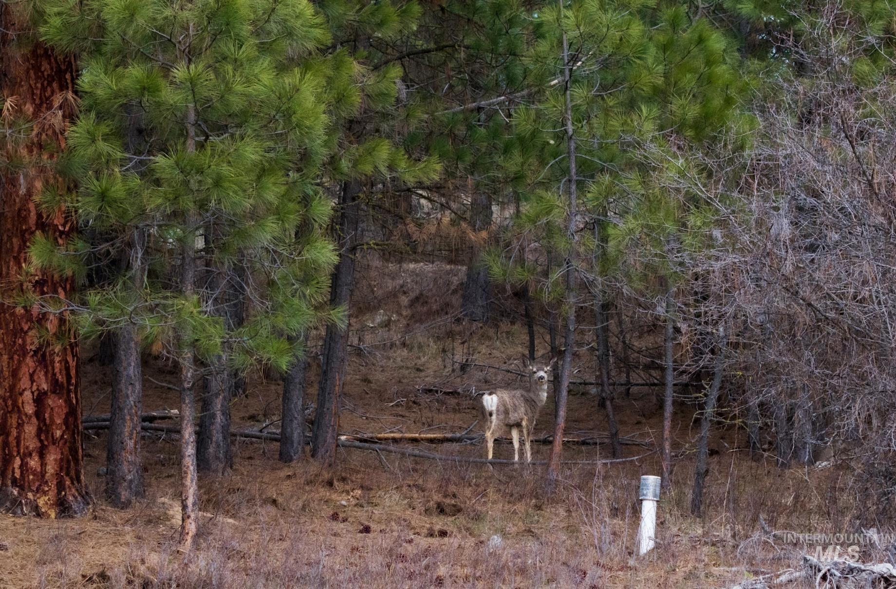 Lot 1 Card Creek, Casey Estates#3