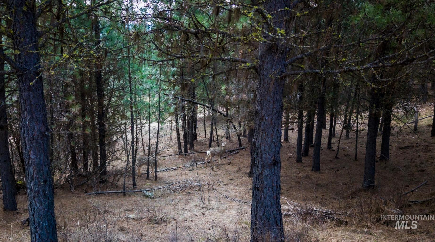 Lot 1 Card Creek, Casey Estates#3