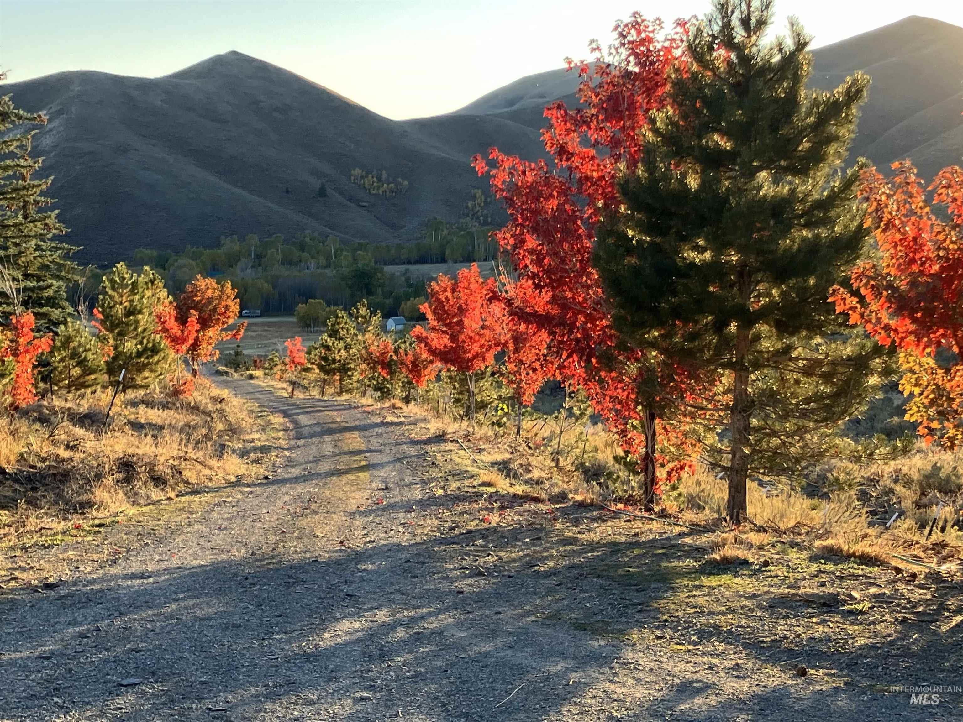 1262 N. Soldier Creek Road