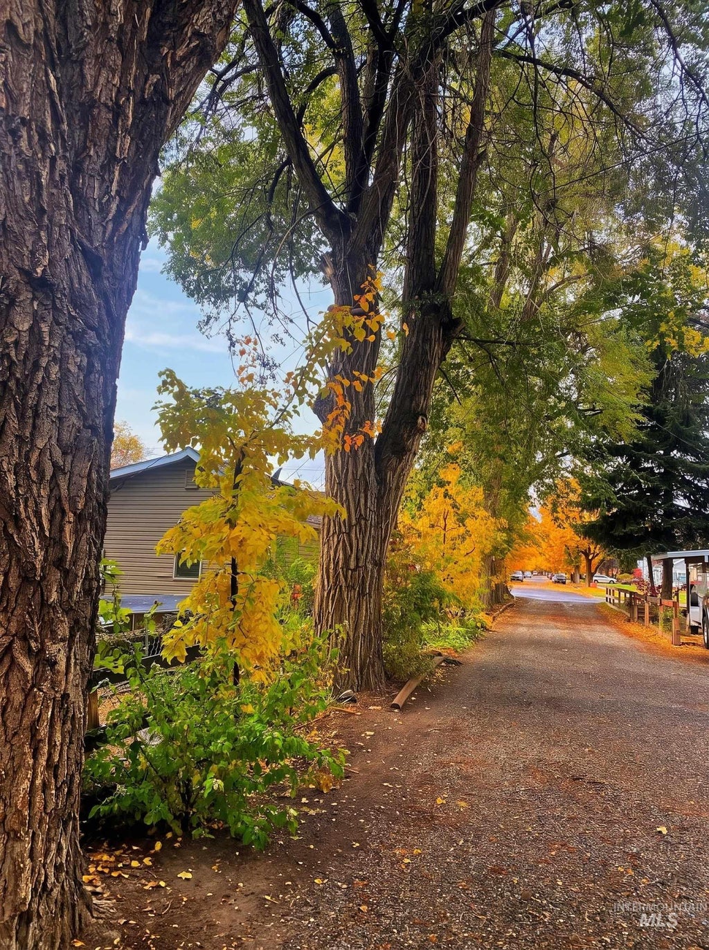 Photo of 1034 Maurice St, Twin Falls, ID 83301 (MLS # 98986819)