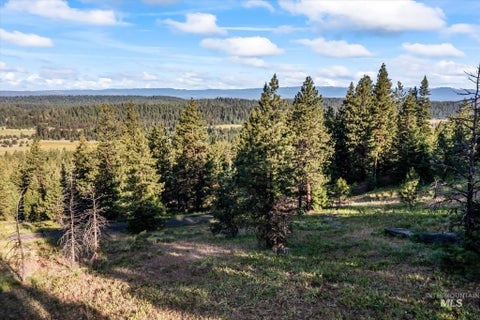 Photo of 15 Harrington Pl, McCall, ID 83638 (MLS # 98985413)