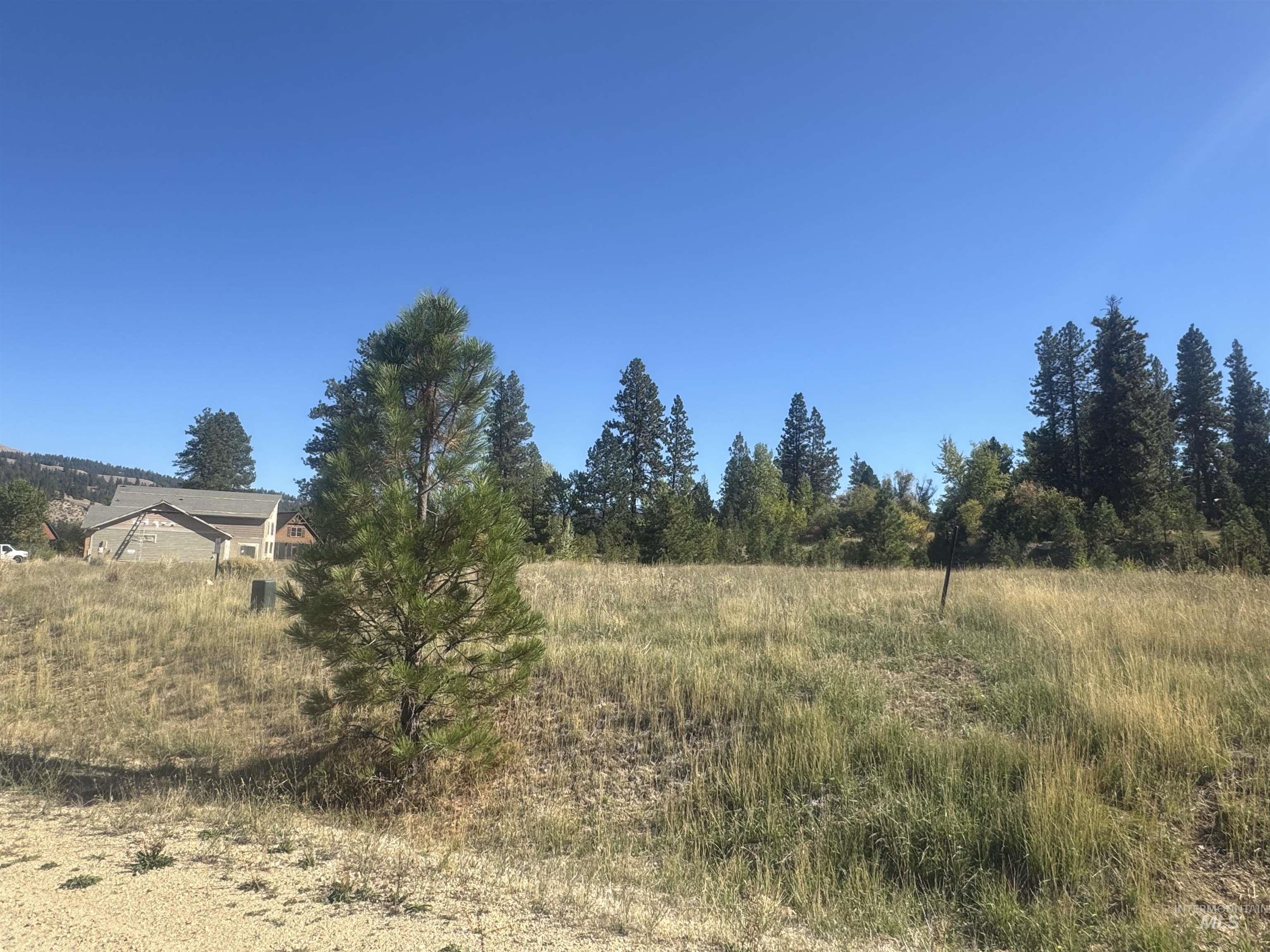 Lt 4 Blk 8 Wapiti Court