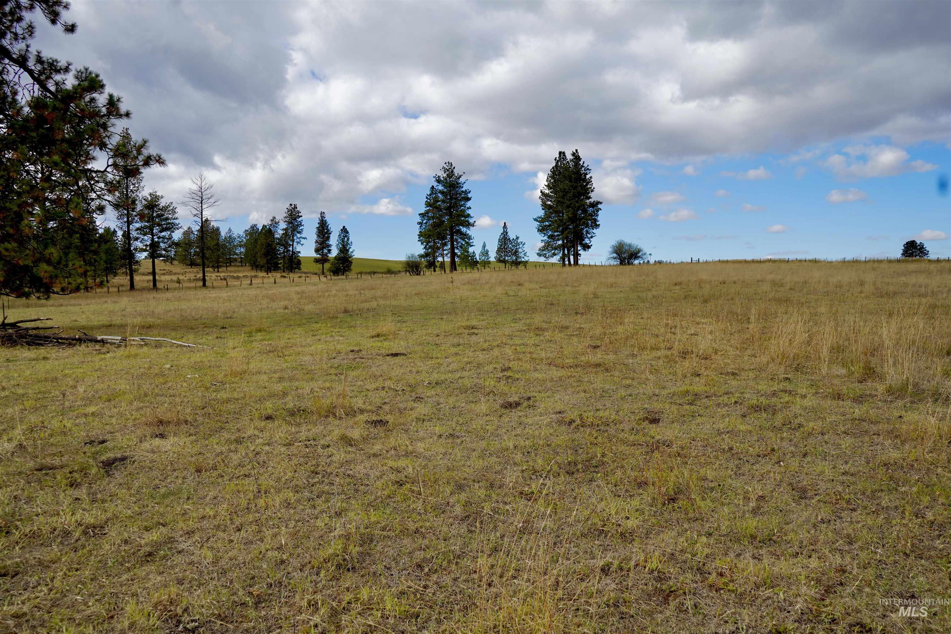 TBD Keuterville Road, CottonWood, Idaho image 8