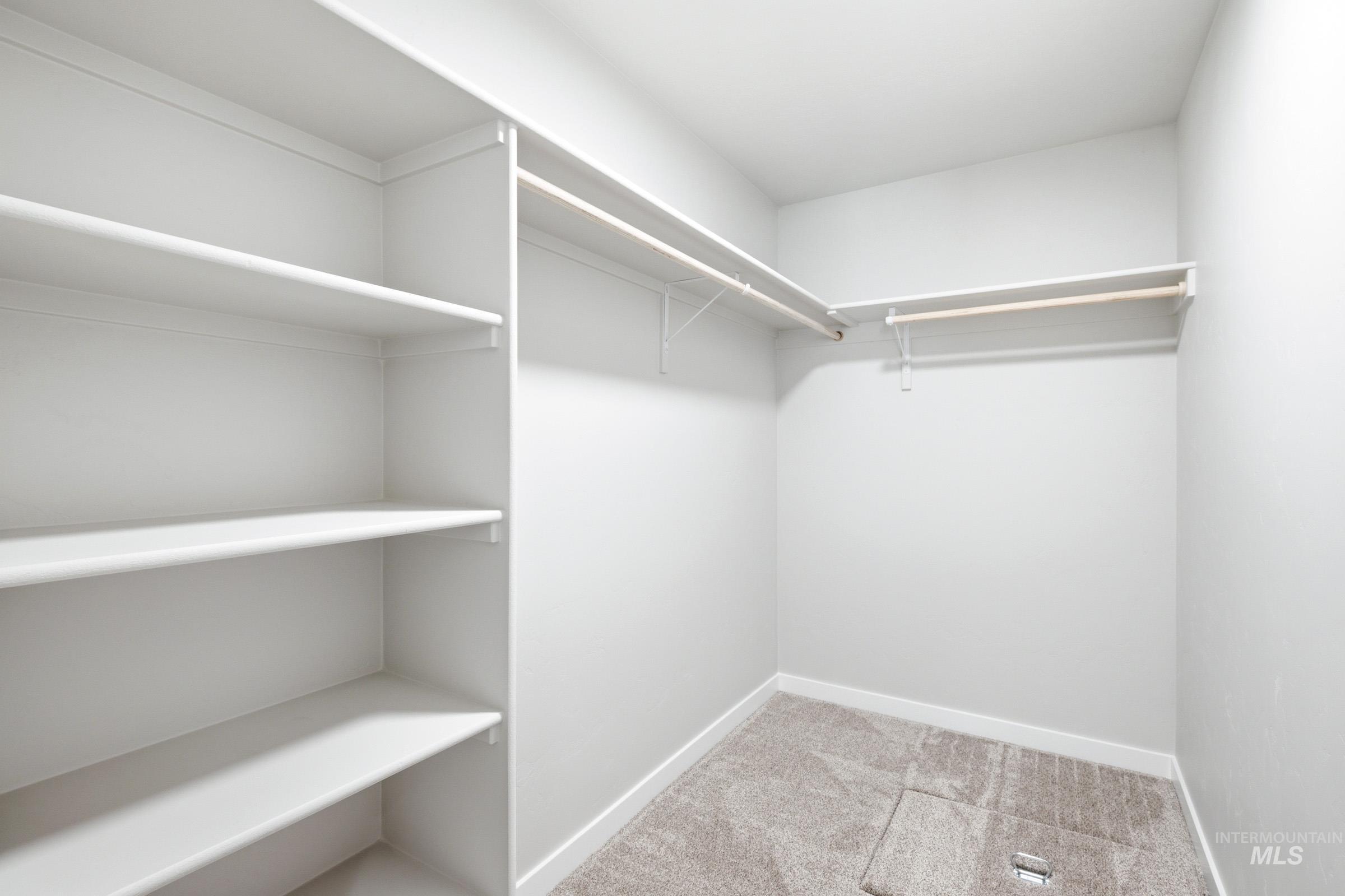 Walk-in closet featuring built-in shelving, dual hanging rods, and neutral-toned carpet flooring