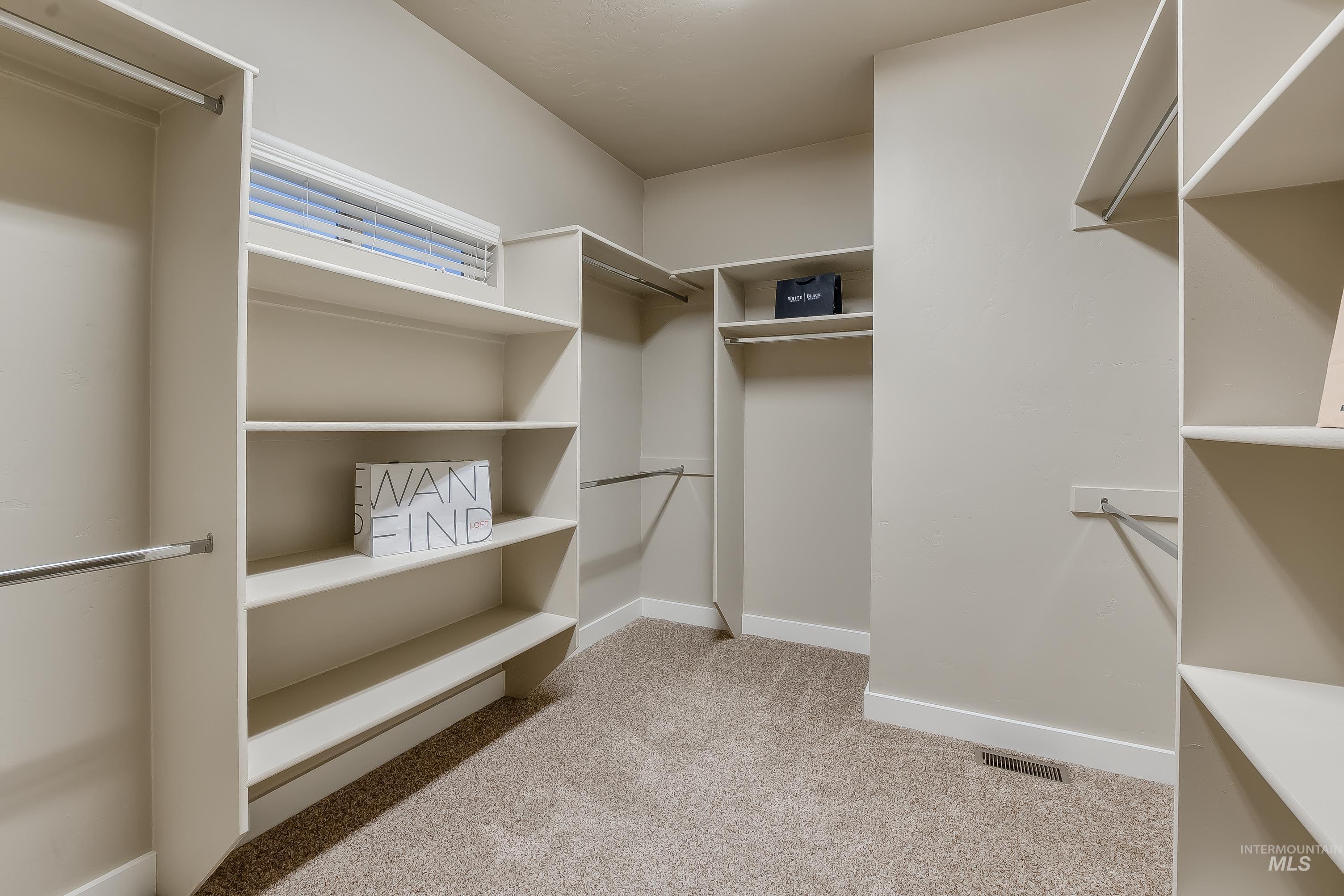 Walk in closet with light colored carpet