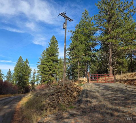 Photo of TBD Center Canyon Rd, CottonWood, ID 83522 (MLS # 98966646)