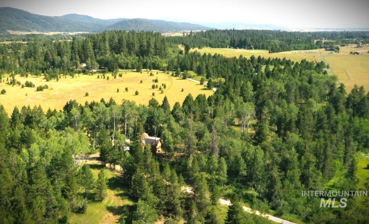 Drone / aerial view of a forest and mountains