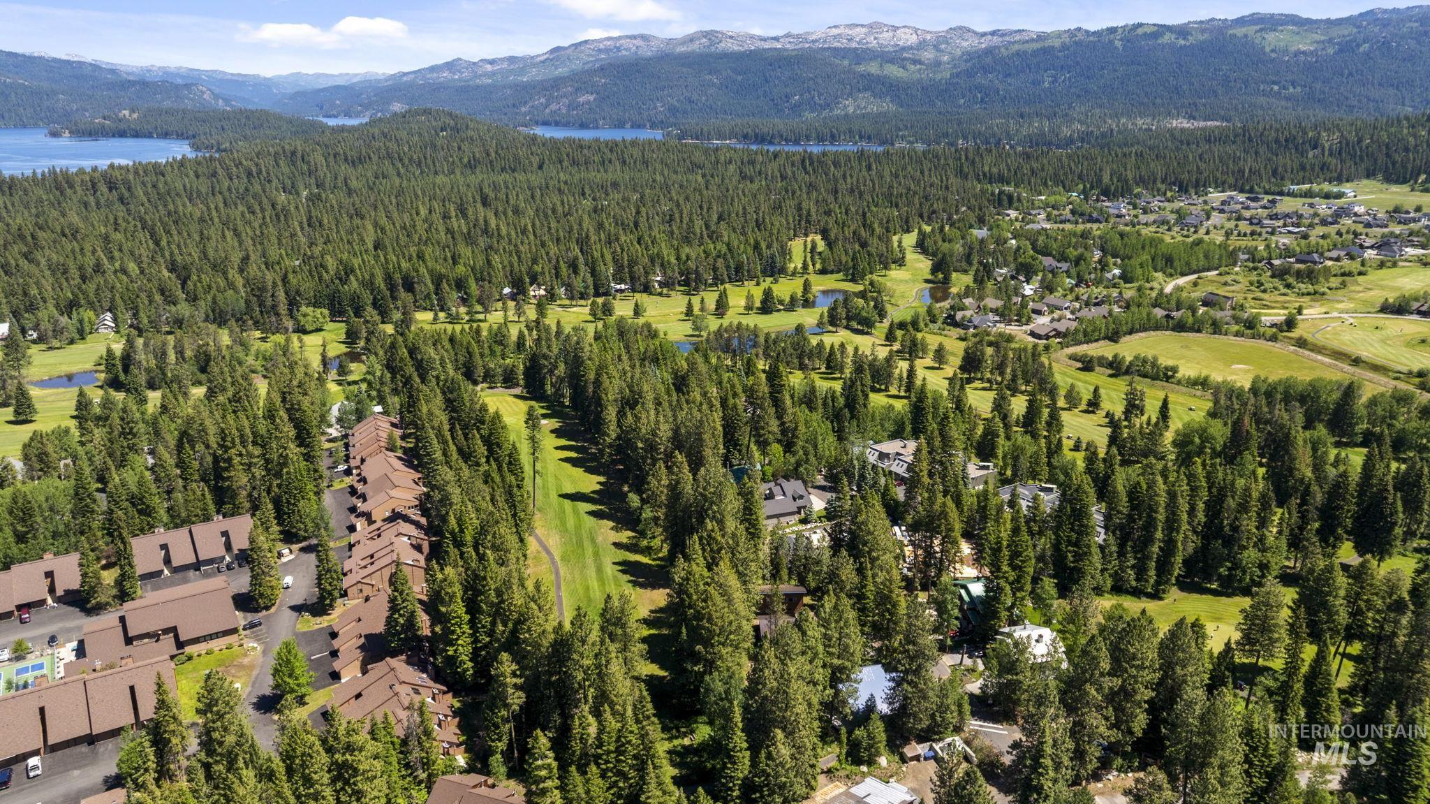 Aerial perspective showcasing a residential community amidst extensive mature tree coverage