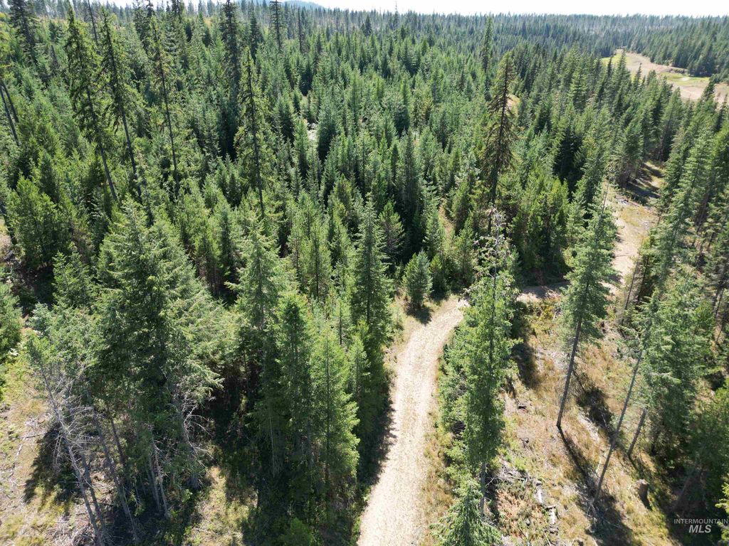 Photo of 3 Johnston Mill Road, Orofino, ID 83544 (MLS # 98958836)