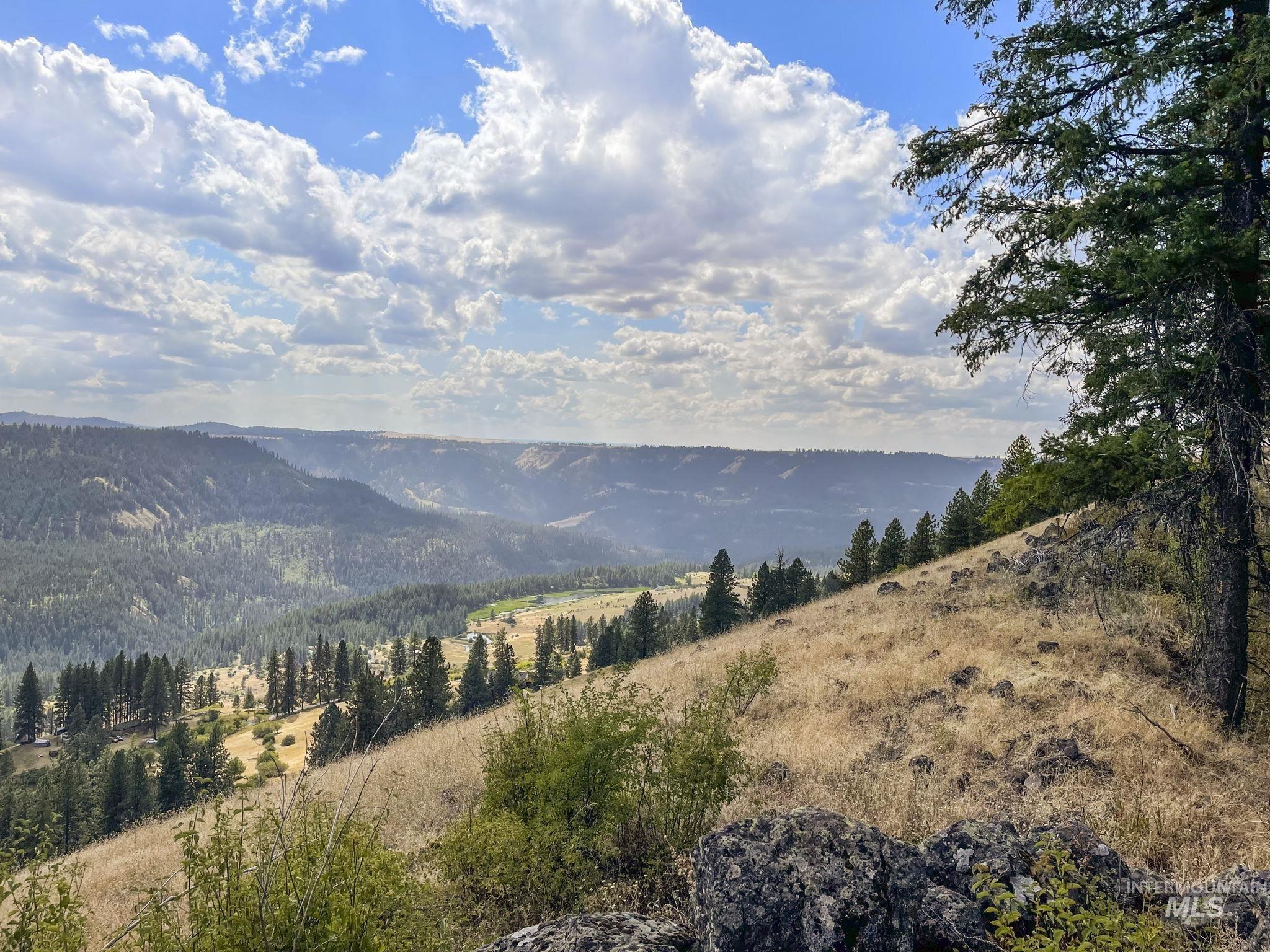 472 Mountain Top Drive, Orofino, Idaho image 16