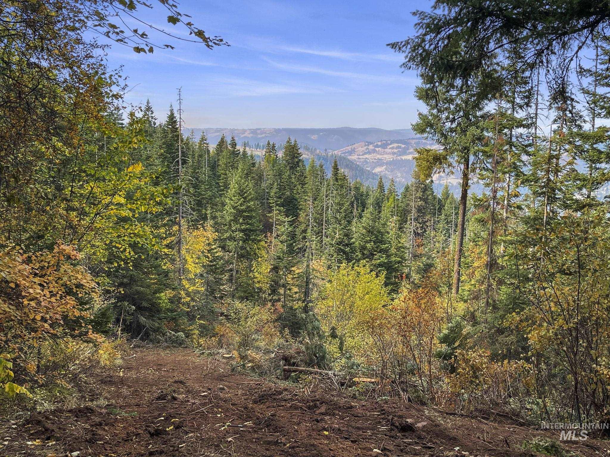 472 Mountain Top Drive, Orofino, Idaho image 9