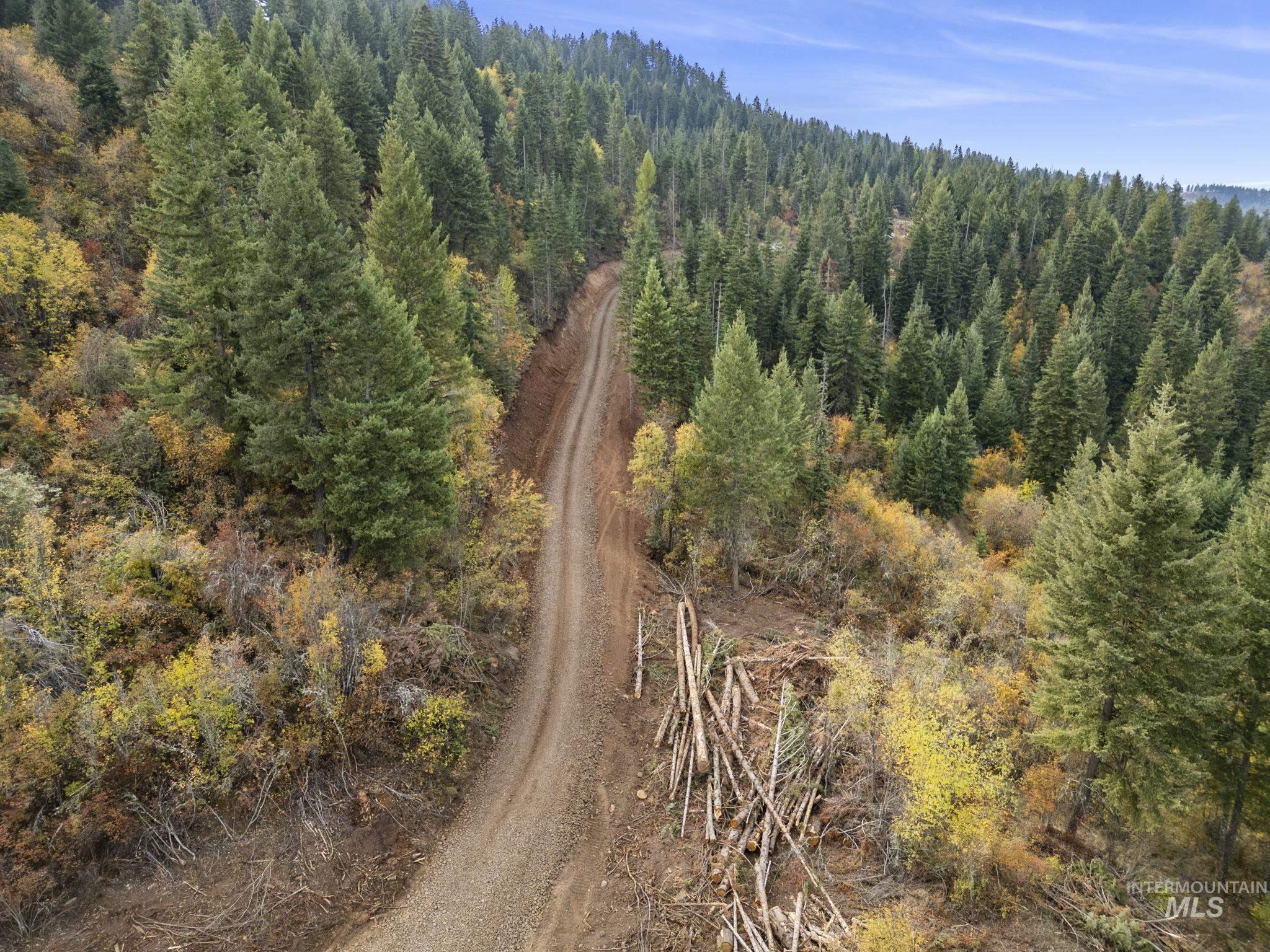 472 Mountain Top Drive, Orofino, Idaho image 12