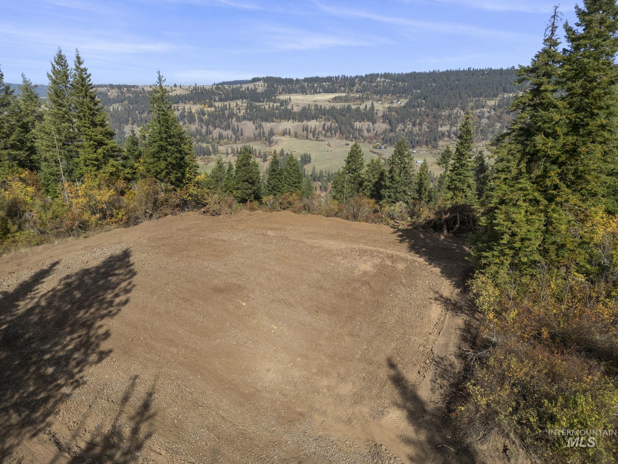 472 Mountain Top Drive, Orofino, Idaho image 13