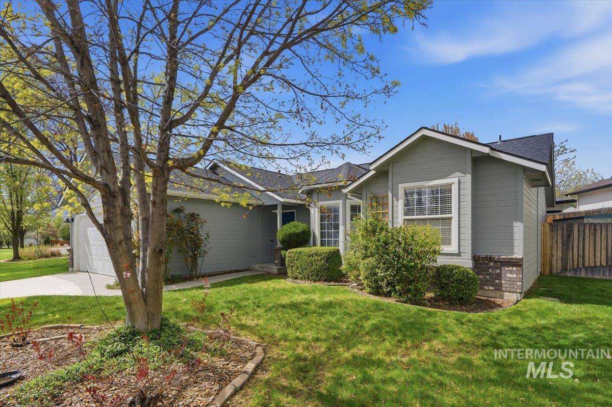 5755 S Olearia Place