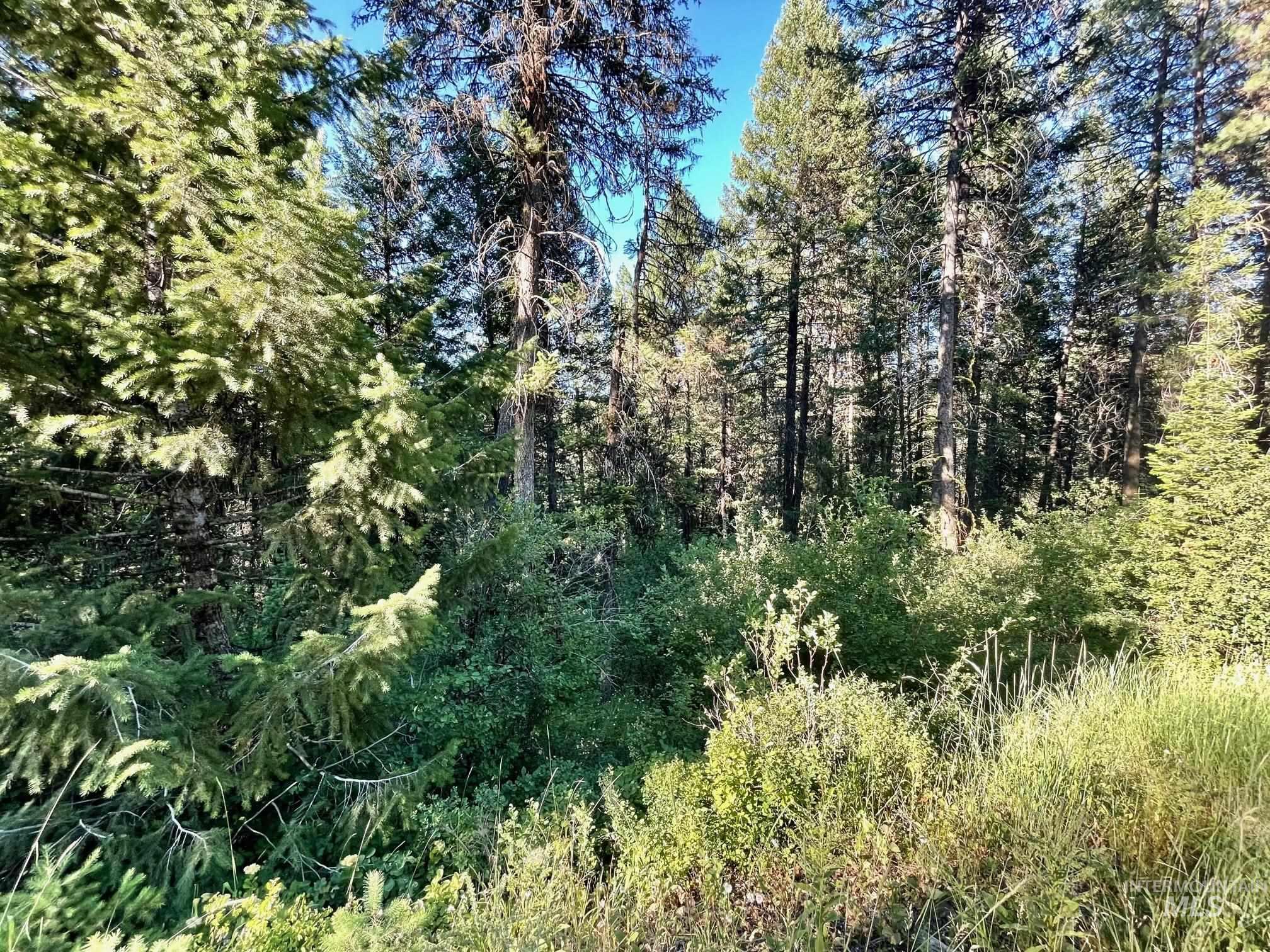 TBD Thistle Down Rd, New Meadows, Idaho image 4