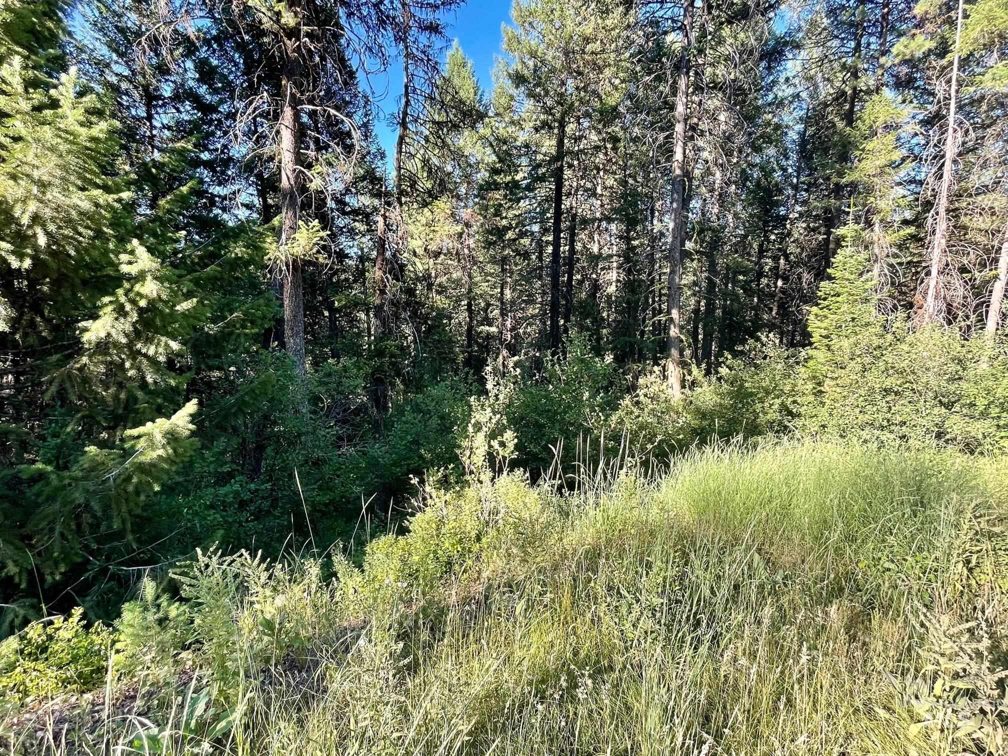 TBD Thistle Down Rd, New Meadows, Idaho image 3