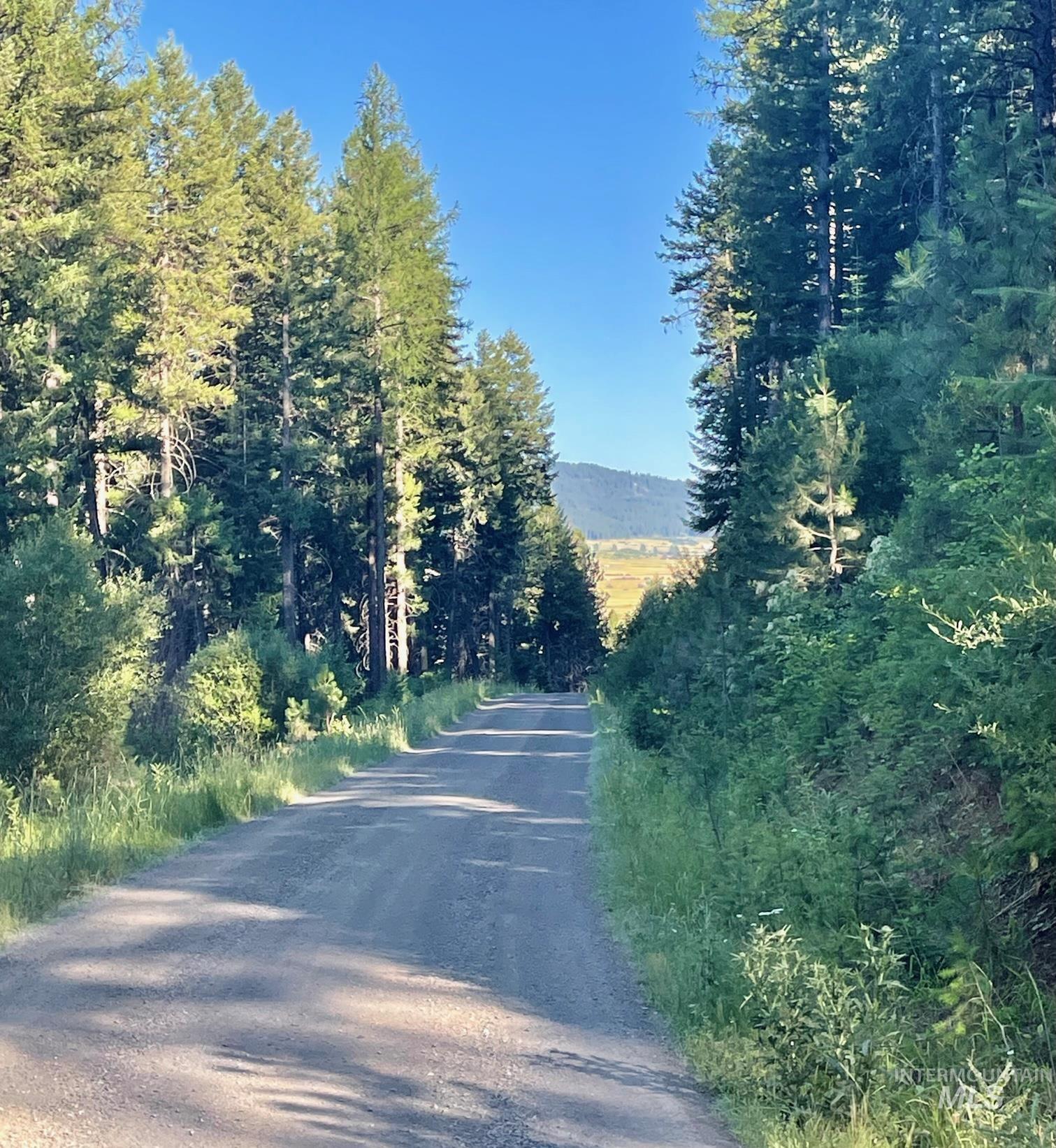 TBD Thistle Down Rd, New Meadows, Idaho image 1