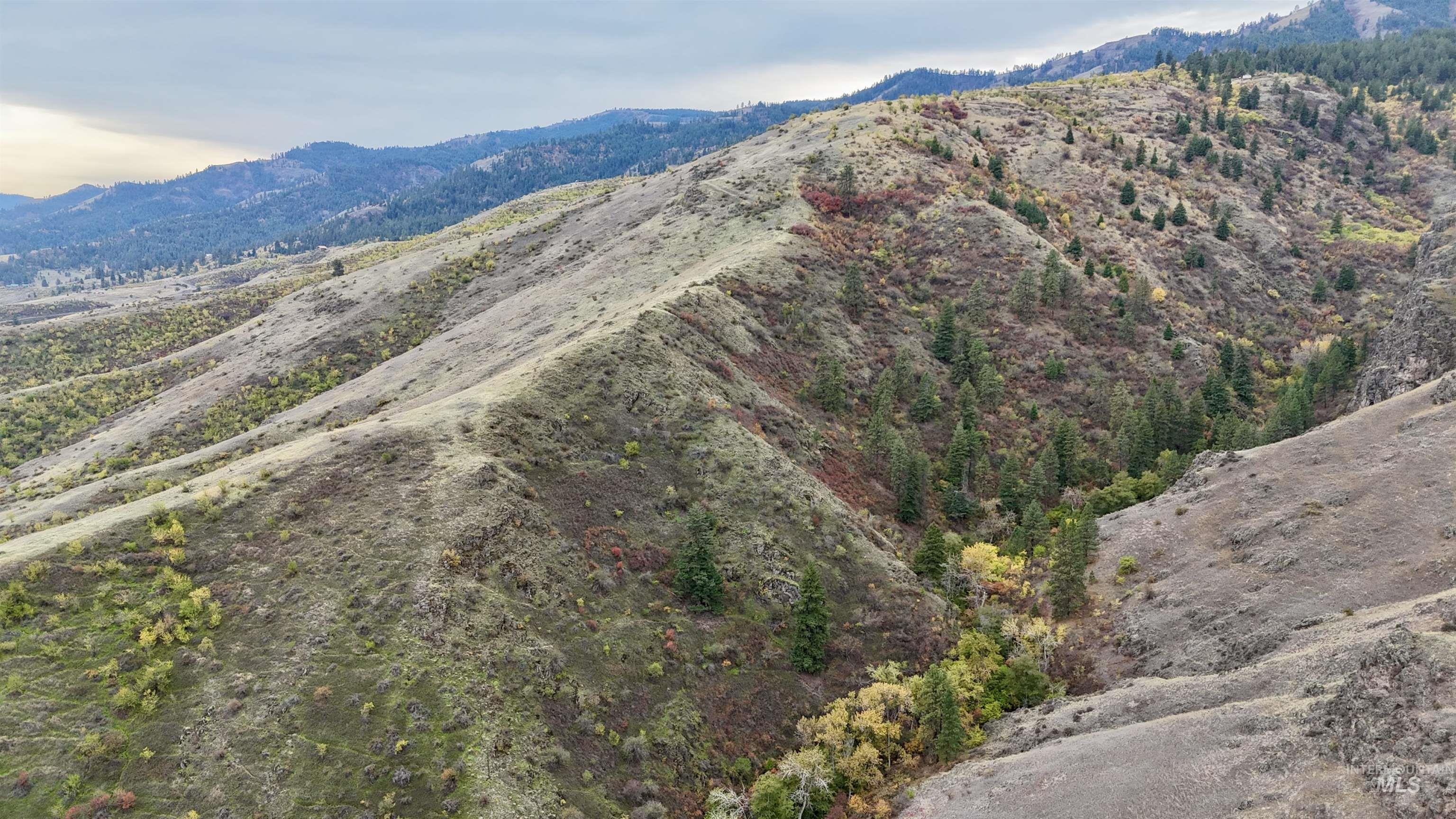 TBD Buckhorn 44.99 Acres