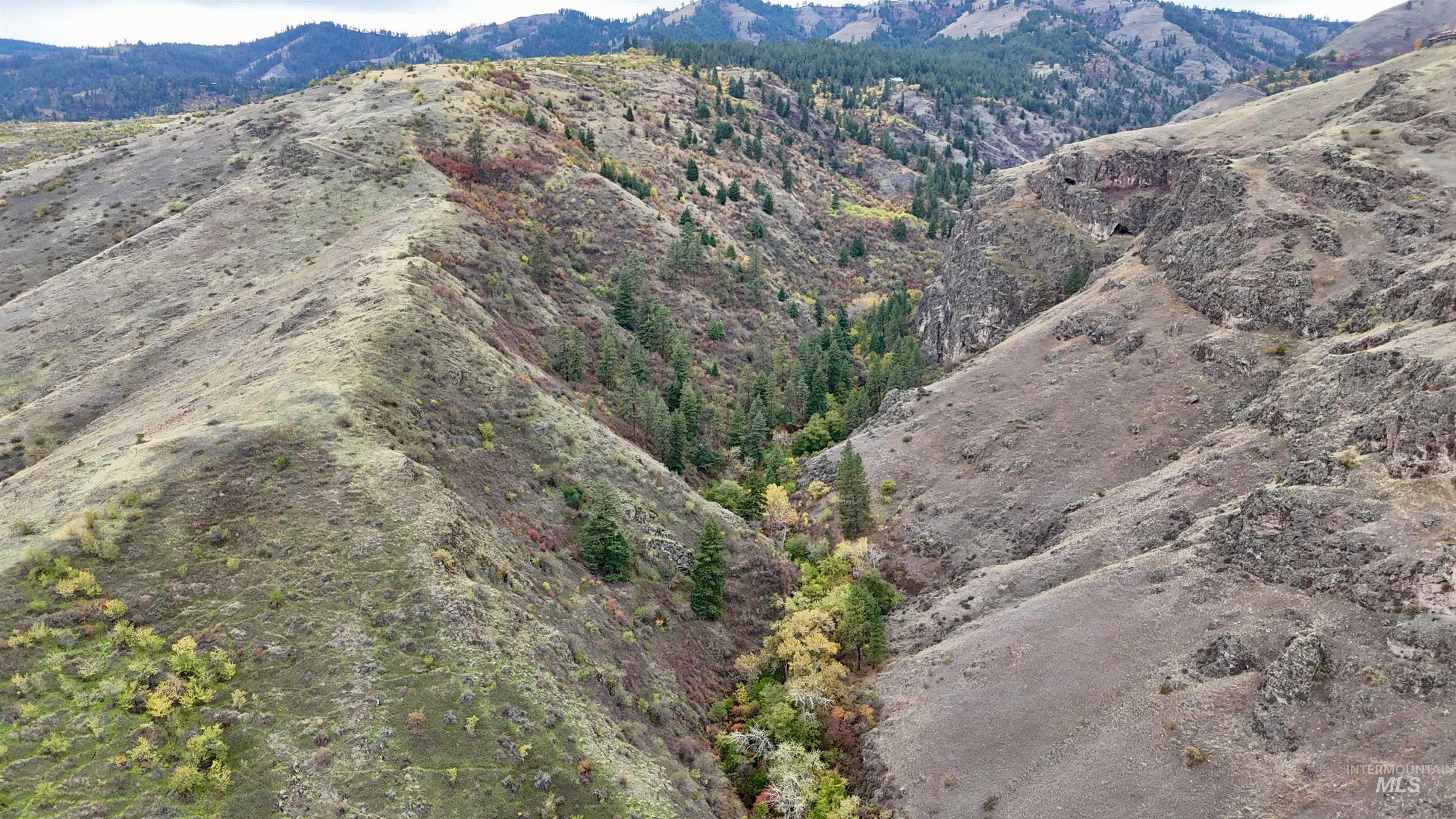 TBD Buckhorn 44.99 Acres