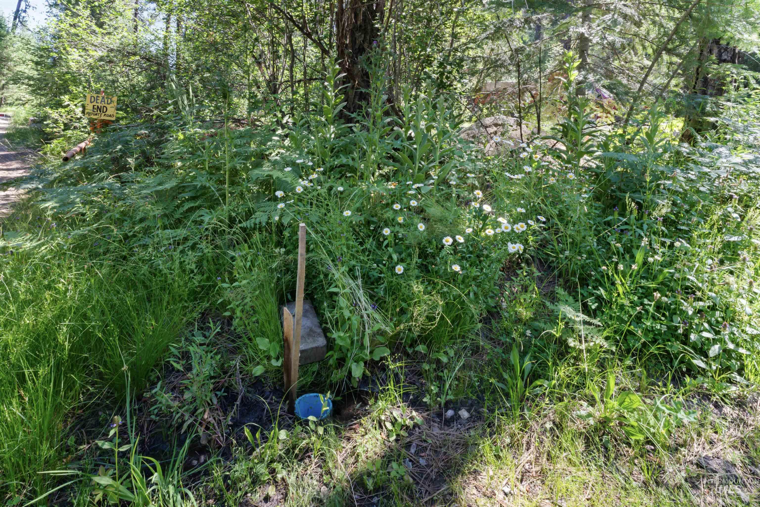 55 Thunder Rd, Garden Valley, Idaho image 42