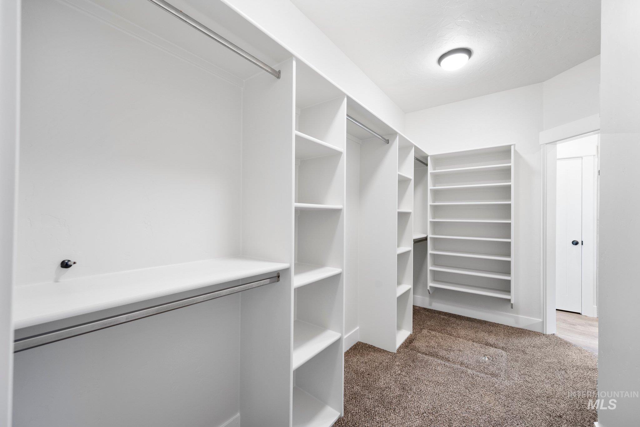 Walk in closet featuring carpet floors