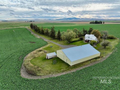 2229 Evergreen Rd Nezperce ID 83543